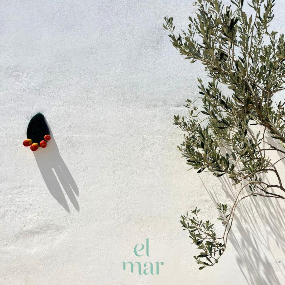 Ferienwohnung El-Mar Locazione Turistica House With Exclusive Terrace Polignano a Mare Exterior foto